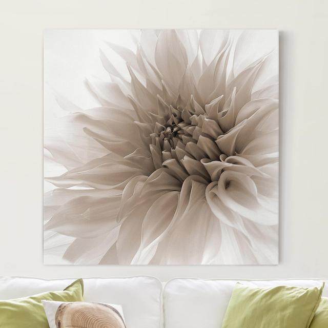 Dahlia with Dignity - Wrapped Canvas Graphic Art Ebern Designs Format: Canvas 260g/m², Size: 120cm H x 120cm W on Productcaster.