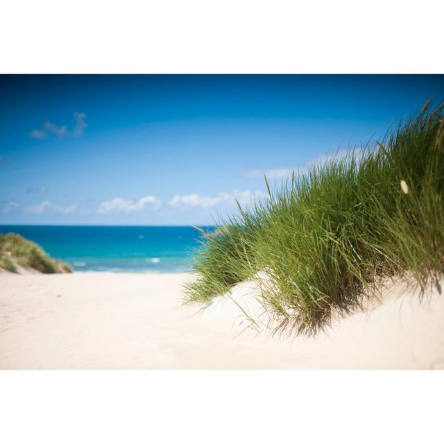 Vibrant Sand Dunes At Crantock Beach by John Shepherd - No Frame Art Prints on Canvas Beachcrest Home Size: 30cm H x 46cm W on Productcaster.