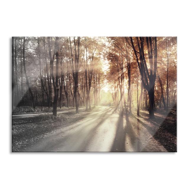 Avenue in the Autumn Light - Unframed Graphic Art on Glass Brayden Studio Size: 70cm H x 100cm W x 0.4cm D on Productcaster.