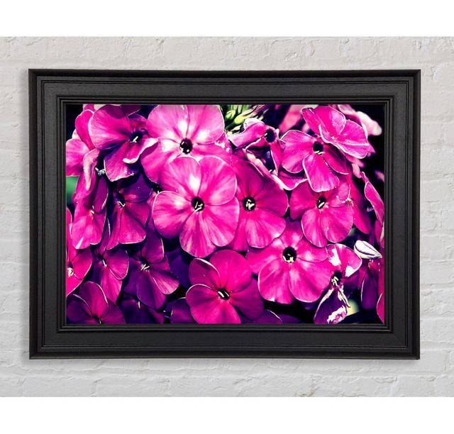 Fiore - Single Picture Frame Art Prints Ebern Designs Size: 84.1cm H x 142.2cm W x 8cm D on Productcaster.