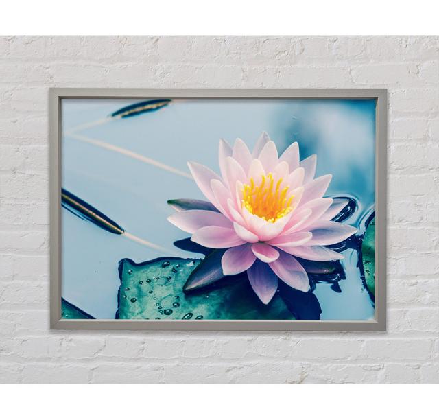 Lotus On The Lake Close Up Framed Print Bright Star Size: 84.1cm H x 118.9cm W on Productcaster.