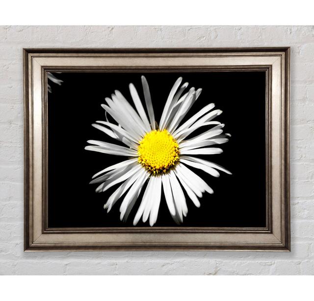 Single Picture Frame Art Prints Bright Star Size: 29.7cm H x 42cm W on Productcaster.