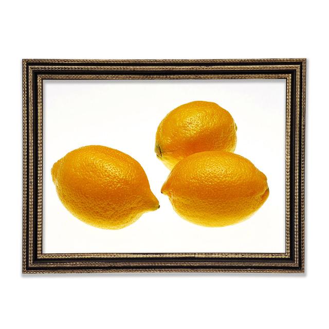 Lemon Trio - Print August Grove Size: 42cm H x 59.7cm W x 3cm D on Productcaster.