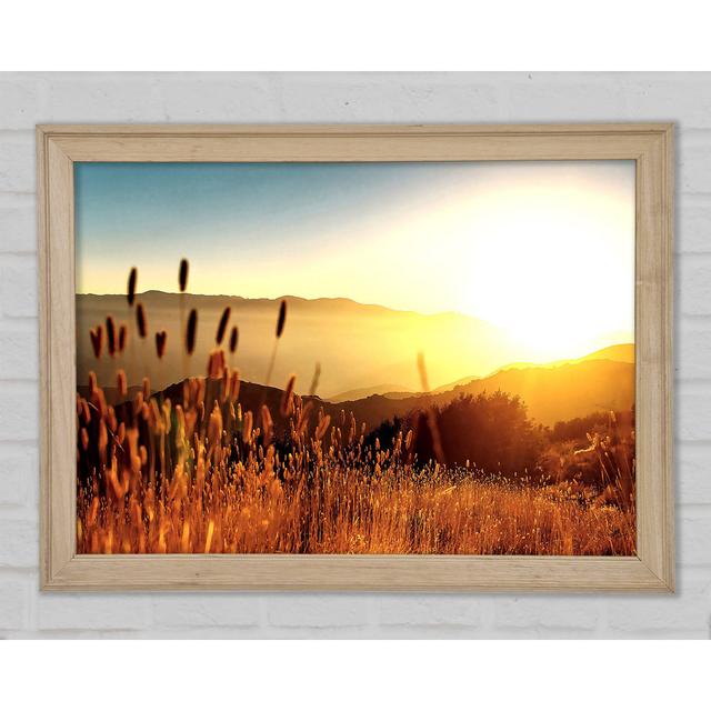 Late Summer Field - Single Picture Frame Art Prints Union Rustic Size: 42.1cm H x 59.7cm W x 1.5cm D on Productcaster.