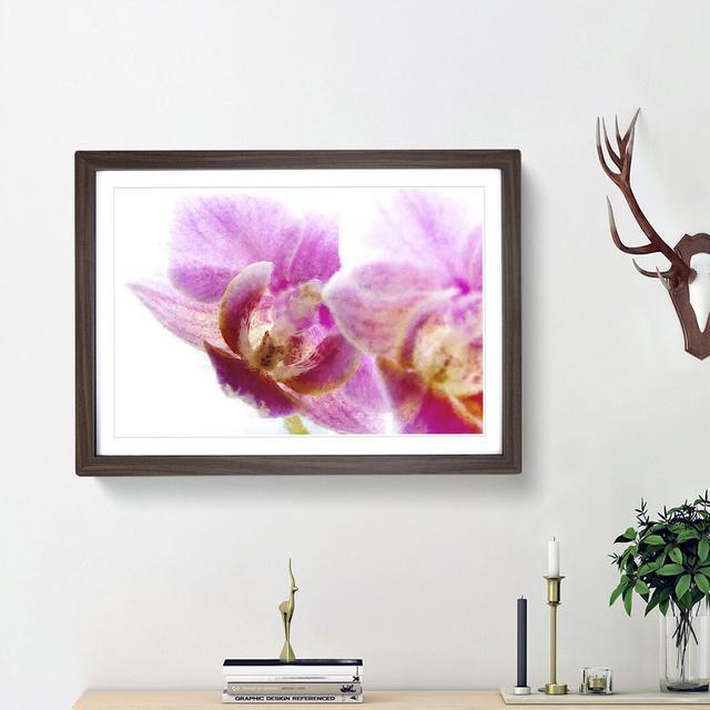 A Pink Orchid Flower - Picture Frame Photograph Print East Urban Home Frame Option: Walnut Framed, Size: 24cm H x 33cm W x 2cm D on Productcaster.