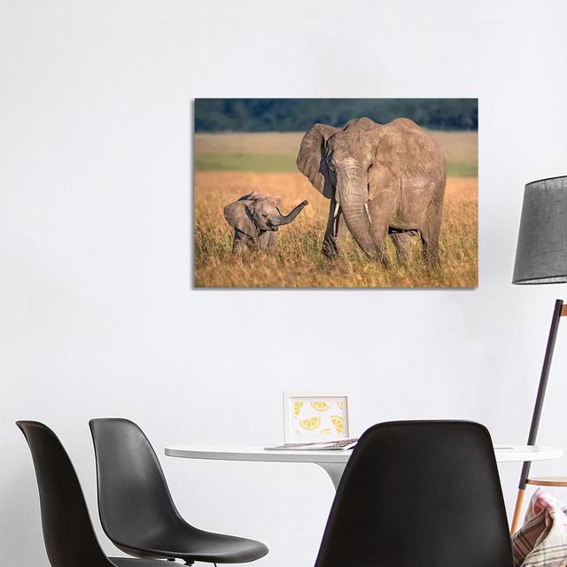 Mom Elephant With Calf by Xavier Ortega - Wrapped Canvas Gallery-Wrapped Canvas Giclée Latitude Run Size: 66.04cm H x 101.6cm W x 3.81cm D on Productcaster.