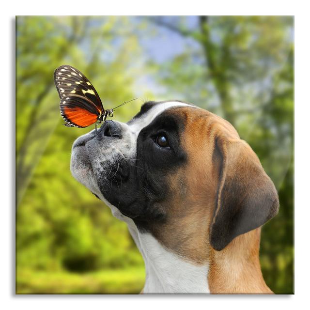 Puppy with a Butterfly on Its Nose - Unframed Photograph on Glass Ebern Designs Size: 80cm H x 80cm W x 0.4cm D on Productcaster.