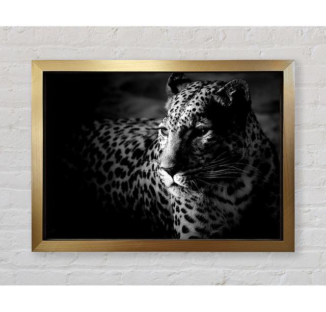 Single Picture Frame Art Prints Bright Star Size: 84.1cm H x 118.9cm W on Productcaster.