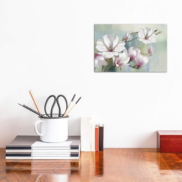 Magnolia Blooms by Rogier Daniels - Wrapped Canvas Graphic Art Print Lily Manor Size: 20.32cm H x 30.48cm W x 1.91cm D on Productcaster.