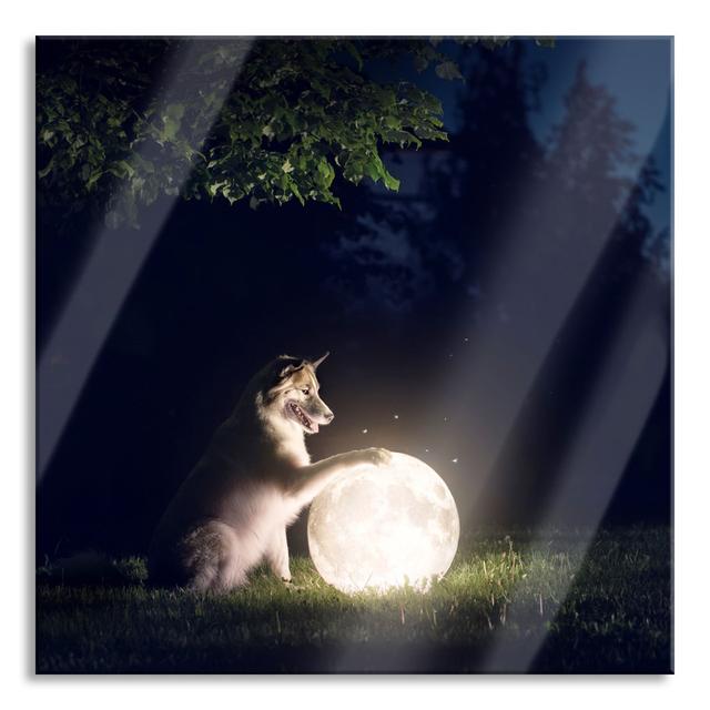 Glasbild Hund mit leuchtendem Mond bei Nacht Ebern Designs Größe: 60 cm H x 60 cm B x 0.4 cm T on Productcaster.