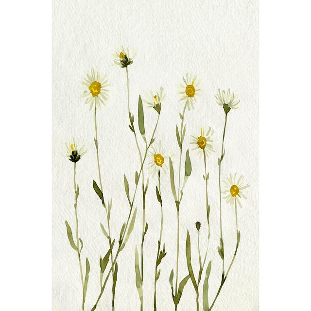 White Antique Daisies II - Wrapped Canvas Painting Rosalind Wheeler Size: 46cm H x 30cm W on Productcaster.