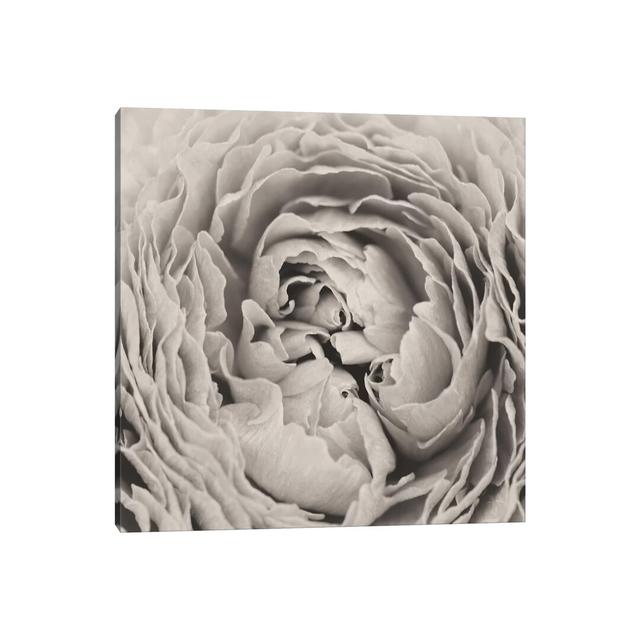 BW Peony - Print on Canvas Fleur De Lis Living Size: 45.72cm H x 45.72cm W x 3.81cm D, Format: Wrapped Canvas on Productcaster.