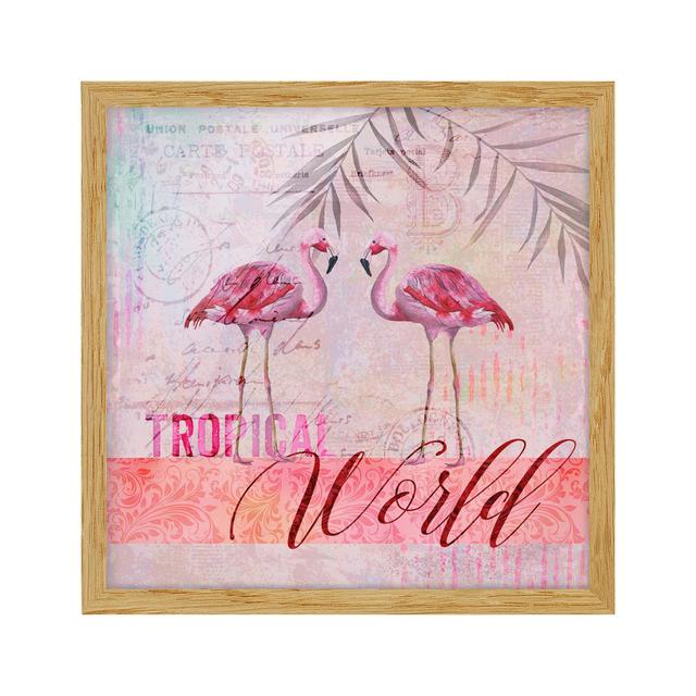 Vintage Collage - Tropical World Flamingos - Picture Frame Graphic Art Bay Isle Home Frame Option: Brown, Size: 30cm H x 30cm W x 2cm D on Productcaster.