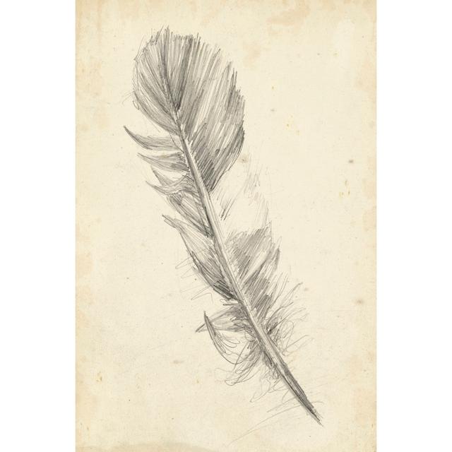 Feather Sketch I by Ethan Harper - Wrapped Canvas Painting Latitude Vive Size: 122cm H x 81cm W on Productcaster.