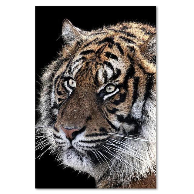 Portrait of a Tiger - Wrapped Canvas Graphic Art Print World Menagerie Size: 100cm H x 70cm W on Productcaster.