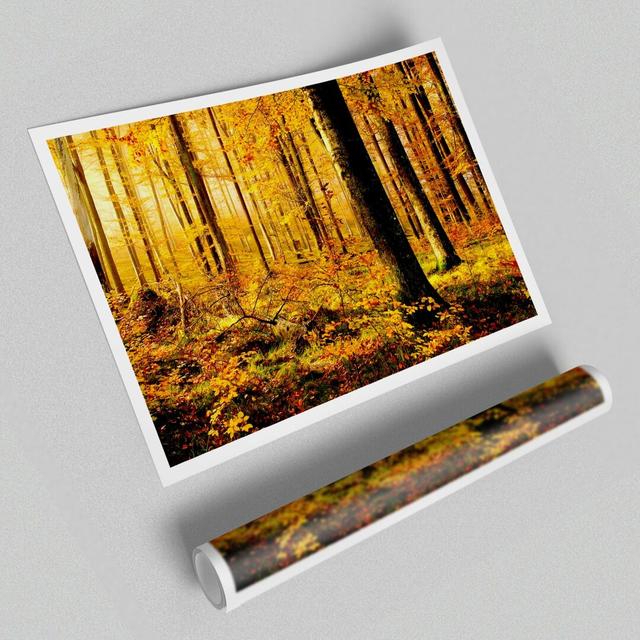 German Forest in Autumn Forest - Photograph Print on Paper East Urban Home Size: 84.1cm H x 118.9cm W on Productcaster.