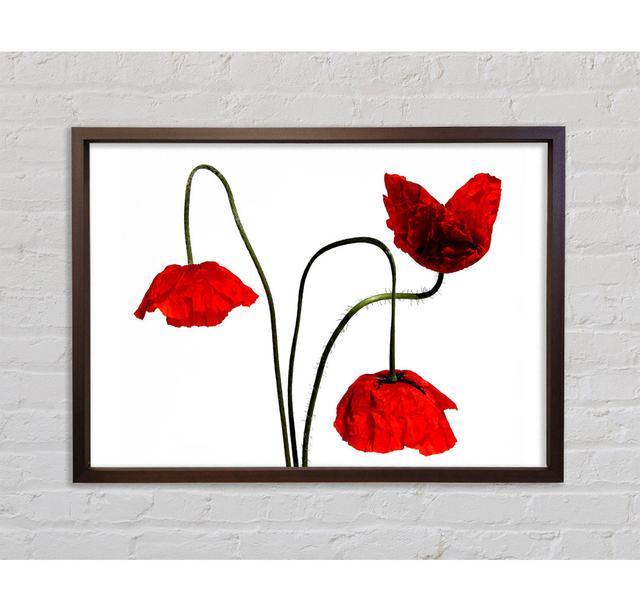 Stunning Trio Of Poppys Framed Print Brayden Studio Size: 84.1cm H x 118.9cm W x 3.3cm D, Format: Dark Grey Framed Canvas on Productcaster.