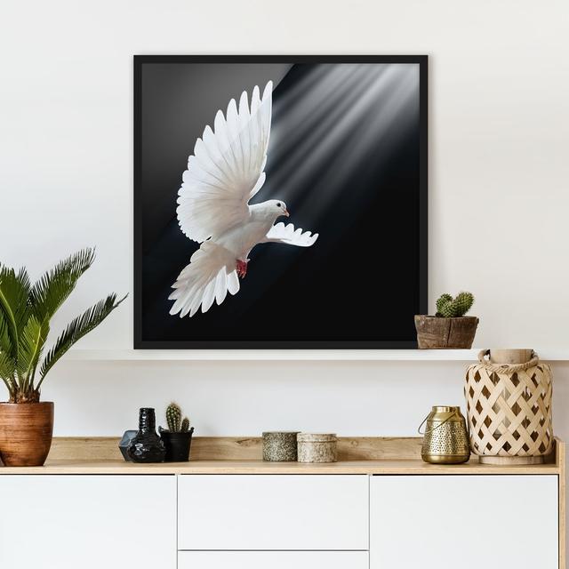 Holy Dove - Picture Frame Graphic Art Rosalind Wheeler Frame Option: Black Framed, Size: 70cm H x 70cm W x 2cm D on Productcaster.