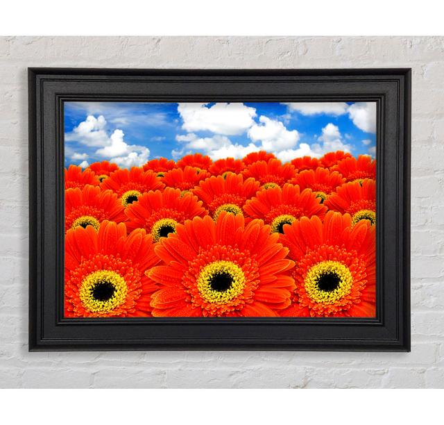 Orange Gerbera Heaven - Einzelner Bilderrahmen Kunstdrucke Ebern Designs Größe: 42cm H x 59,7cm B x 8cm T on Productcaster.