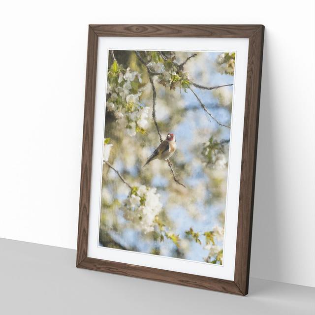 Goldfinch Bird in a Cherry Tree - Picture Frame Painting East Urban Home Size: 65cm H x 48cm W x 2cm D, Frame Option: Walnut Framed on Productcaster.