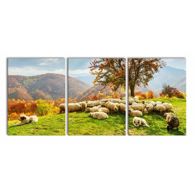 Romanian Carpathians Gebirge - 3 Piece Wrapped Canvas Print East Urban Home Size: 180 cm H x 80 cm W x 2.4 cm D on Productcaster.