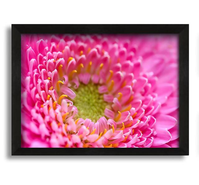 Pink Flower Centre - Picture Frame Photograph on Canvas Rosalind Wheeler Size: 42cm H x 60cm W x 10cm D on Productcaster.