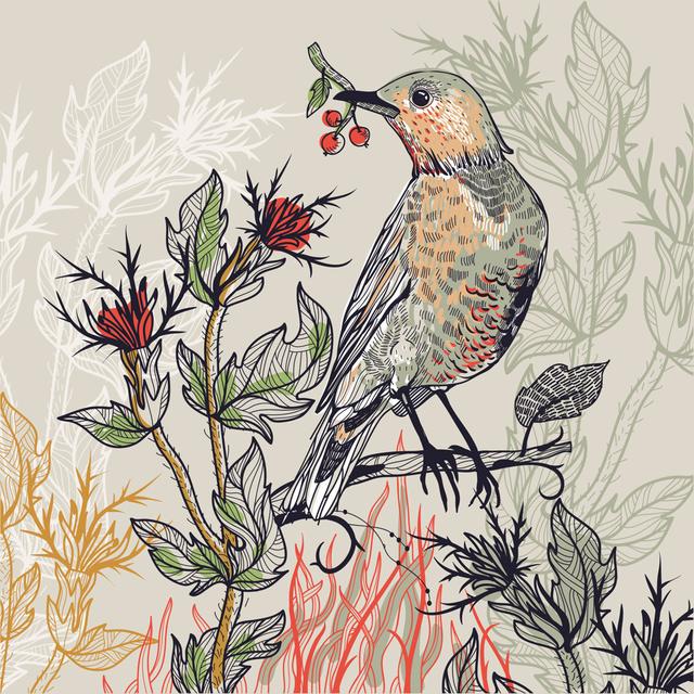 Forest Bird and Thistle by Anna Paff - Wrapped Canvas Art Prints ClassicLiving Size: 30cm H x 30cm W x 3.8cm D on Productcaster.