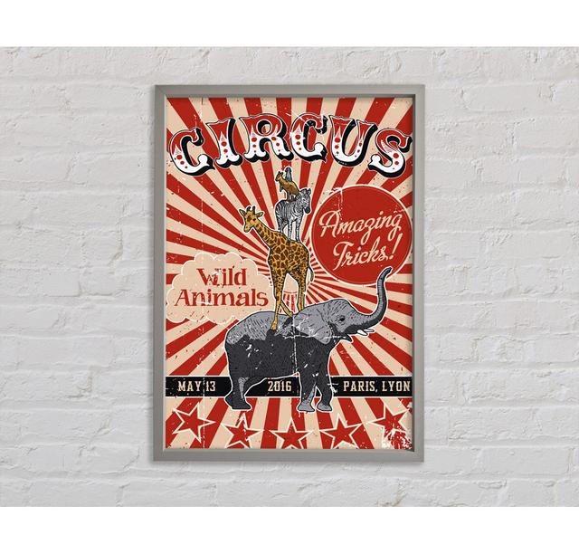 Circus Amazing Tricks - Print Bright Star Size: 118.9cm H x 84.1cm W x 3.3cm D on Productcaster.