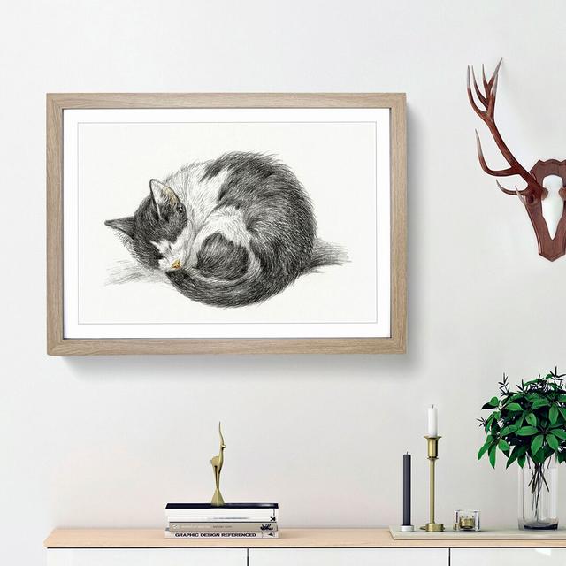 A Curled Cat by Jean Bernard - Single Picture Frame Print East Urban Home Frame Option: Oak Framed, Size: 45cm H x 63cm W x 2cm D on Productcaster.