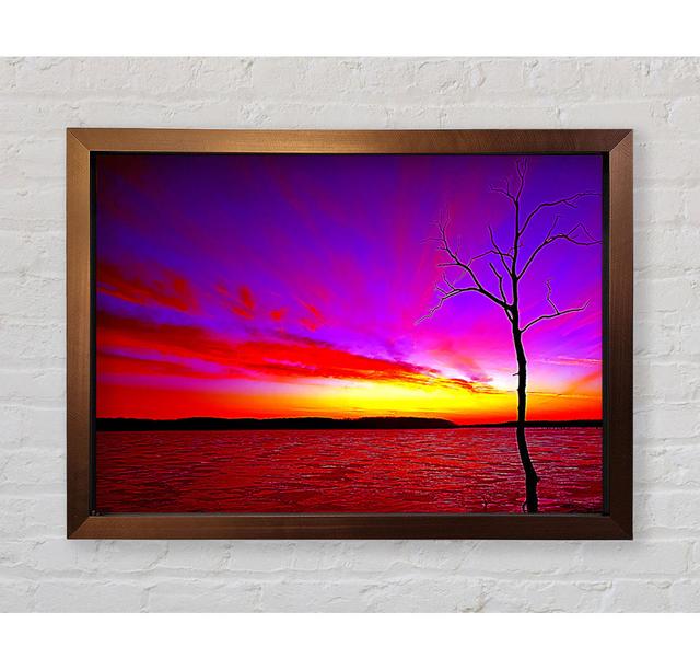 Sunset Tree Rainbow Skies Framed Print Wall Art Highland Dunes Size: 84.1cm H x 118.9cm W x 3.4cm D, Fomat: Black Framed Paper on Productcaster.