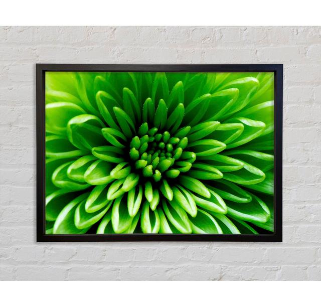 Green Centre - Print Latitude Run Size: 59.7cm H x 84.1cm W x 3.3cm D, Format: Black Framed Canvas on Productcaster.