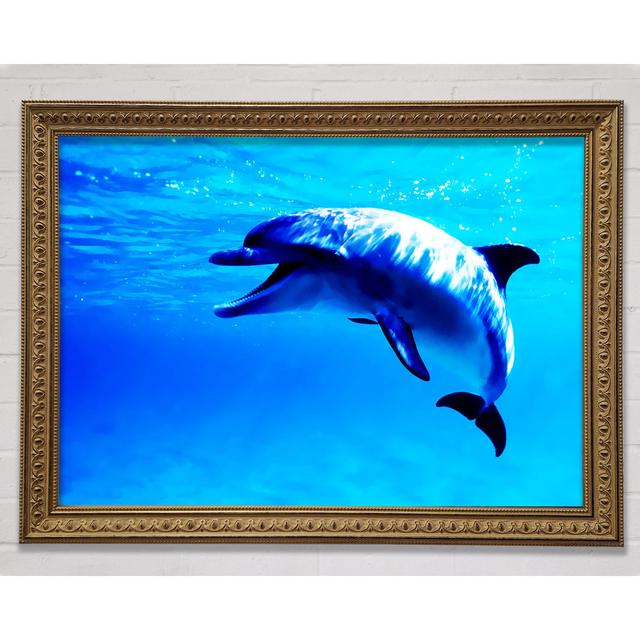 Dolphin Talk Framed Print Highland Dunes Size: 21cm H x 29.7cm W on Productcaster.