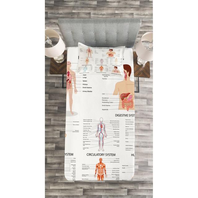 Bettwäsche Menschliche Anatomie East Urban Home Größe: 170 x 220 cm Tagesdecke und 1 Kissenhülle on Productcaster.