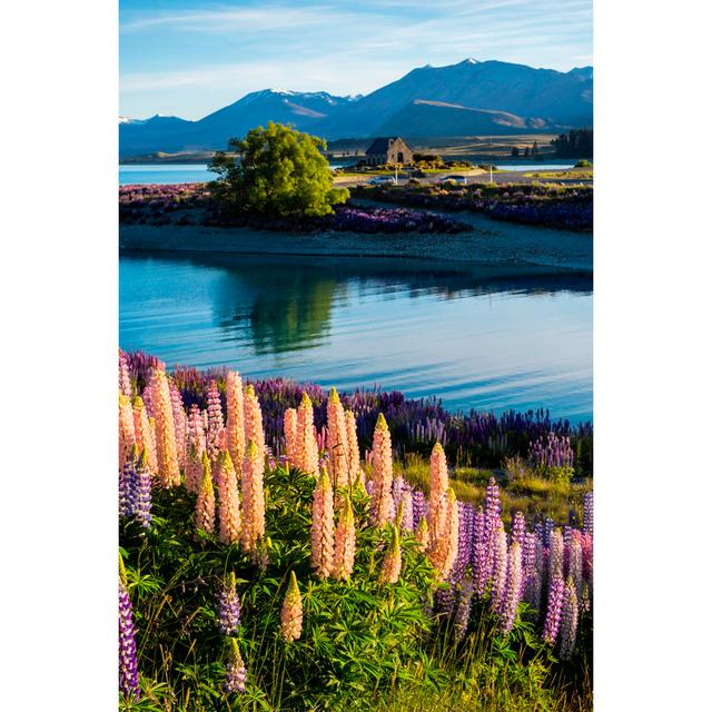 Lupins At Lake Tekapo by Simonbradfield - Wrapped Canvas Art Prints Alpen Home Size: 91cm H x 61cm W on Productcaster.