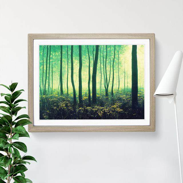 Otherworldly Summer Forest - Single Picture Frame Print Alpen Home Size: 46cm H x 64cm W x 2cm D, Frame Colour: Oak on Productcaster.