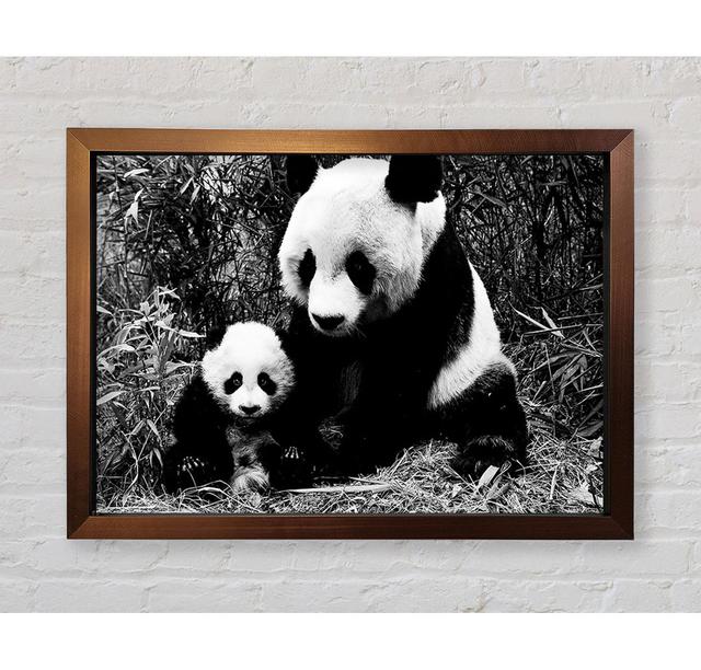 Single Picture Frame Art Prints 17 Stories Size: 42.1cm H x 59.7cm W on Productcaster.