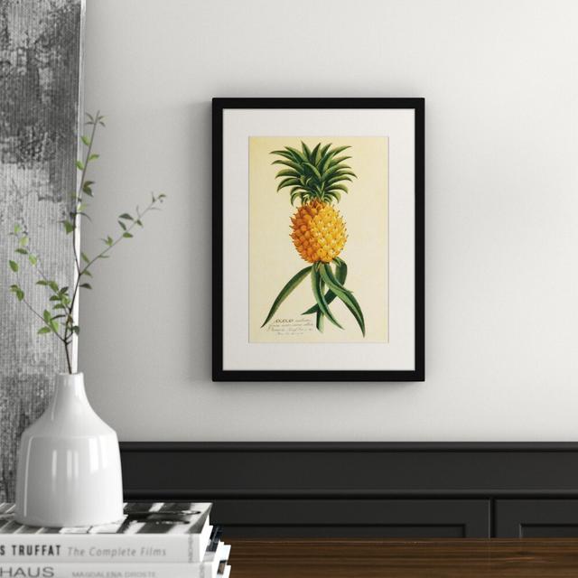 Gerahmtes Poster Retro-Ananas, Grafikdruck East Urban Home on Productcaster.