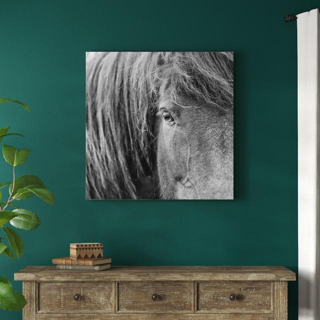 B&W Horses VI - Wrapped Canvas Print Blue Elephant Size: 91cm H x 91cm W on Productcaster.