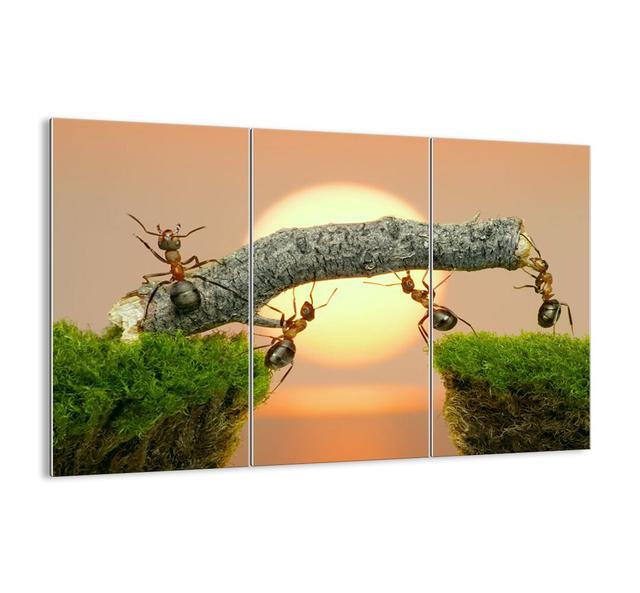 'Joyful Joint Work' - 3 Piece Unframed Photograph Print Set on Glass Ebern Designs Size: 110cm H x 165cm W x 1.8cm D on Productcaster.