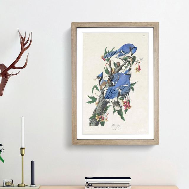 Blue Jay Birds by John Audubon - Picture Frame Graphic Art Print East Urban Home Size: 36cm H x 27cm W x 2cm D, Frame Option: Oak Framed on Productcaster.