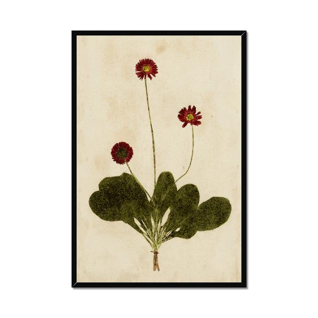 Botanical Impression III - Wrapped Canvas Painting Print Brambly Cottage Format: Black Framed Paper Print, Size: 95cm H x 65cm W on Productcaster.