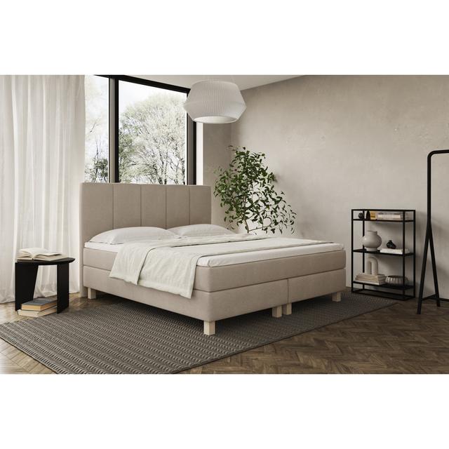 Echtes Boxspringbett Horsley mit Kaltschaum Topper ModernMoments Härtegrad der Matratze: H2 - bis ca. 75 kg / H3 - ca. 75 bis 100 kg, Farbe: Hellbeige on Productcaster.