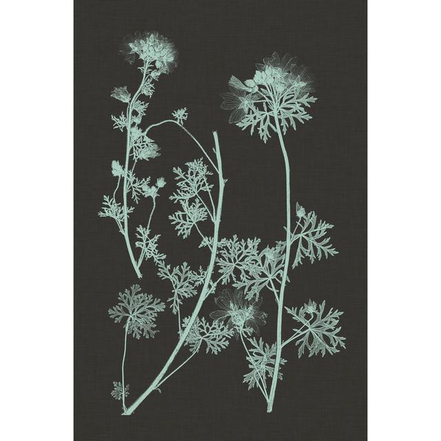 Mint and Charcoal Nature Study IV - Wrapped Canvas Graphic Art Marlow Home Co. Size: 91cm H x 61cm W on Productcaster.