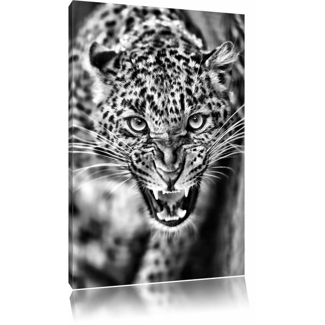 Leinwandbild Fauchender Leopard in Monochrom East Urban Home Größe: 80 cm H x 60 cm B on Productcaster.