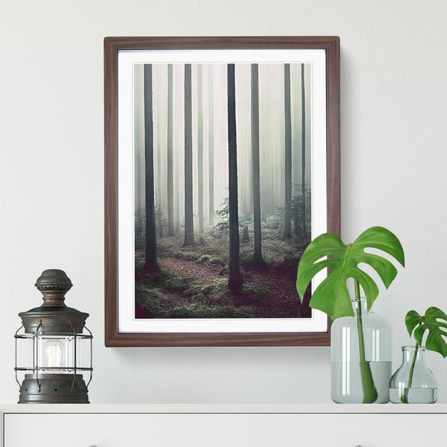 A Quiet Forest - Print Alpen Home Matte Colour: White, Size: 48cm H x 36cm W, Format: Walnut Framed on Productcaster.