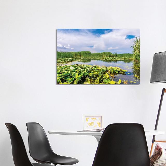 Lotus Field On Lake by Nejdet Duzen - Wrapped Canvas Painting Latitude Run Size: 66.04cm H x 101.6cm W x 1.91cm D on Productcaster.