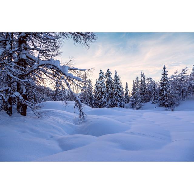 Winter Landscape by Remedios - Wrapped Canvas Photograph Alpen Home Size: 61cm H x 91cm W on Productcaster.