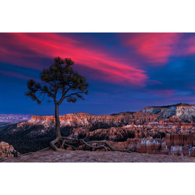 Bryce Canyon National Park by Nycshooter - No Frame Art Prints on Canvas 17 Stories Size: 61cm H x 91cm W on Productcaster.