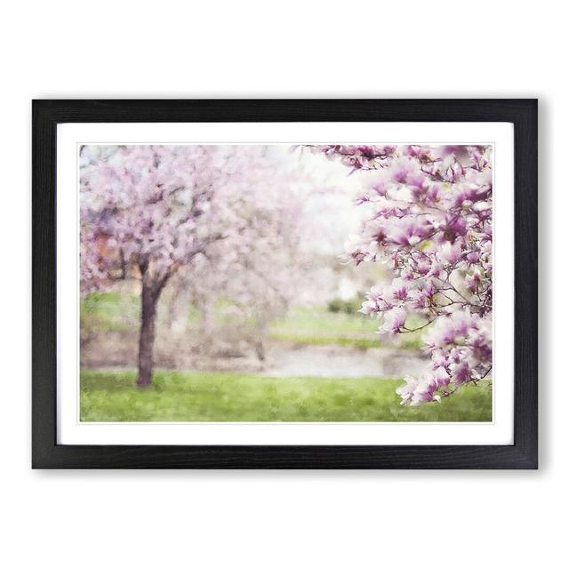 Magnolia Blossom Trees - Picture Frame Painting East Urban Home Frame Option: Black Framed, Size: 27cm H x 36cm W x 2cm D on Productcaster.