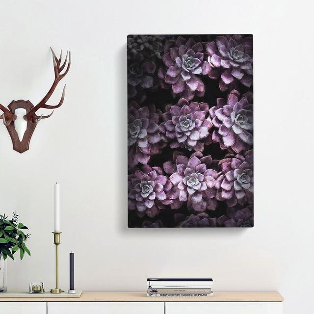 Pretty Purple Succulent Plants - Wrapped Canvas Print East Urban Home Size: 50cm H x 35cm W x 3cm D on Productcaster.